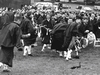 Field Marshal Montgomery Pipe Band win the World Pipe Band Championships for their first time in 1992